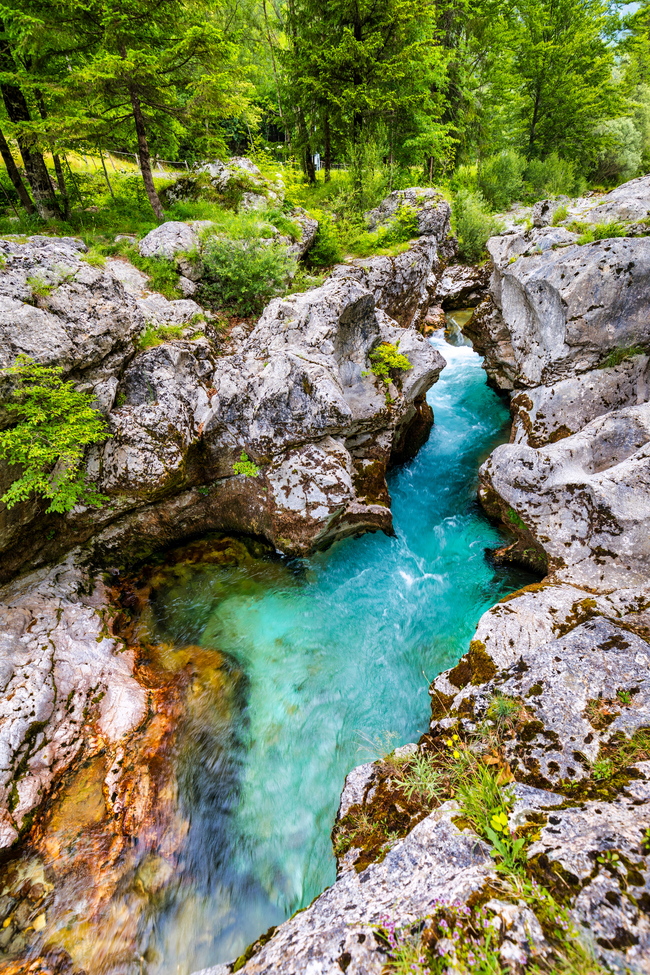 Hotel Bovec - izkušnja, ki jo vedno priporočim